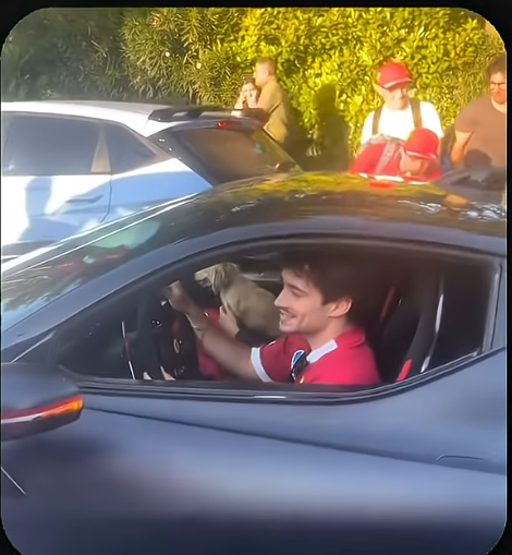 Charles Leclercccccgh